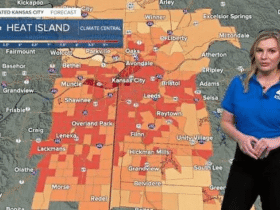 Why Is Cassie Wilson Leaving KSHB