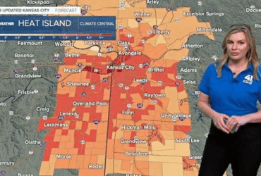 Why Is Cassie Wilson Leaving KSHB